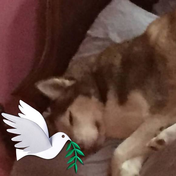 Meet your Posher, Joan - Picture 1 of 1